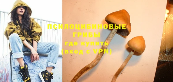 гашик Горняк