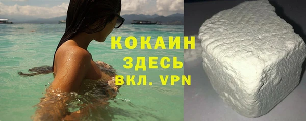гашик Горняк