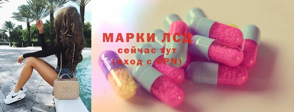 гашик Горняк