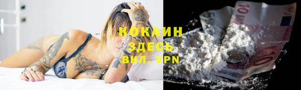 гашик Горняк