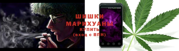 гашик Горняк