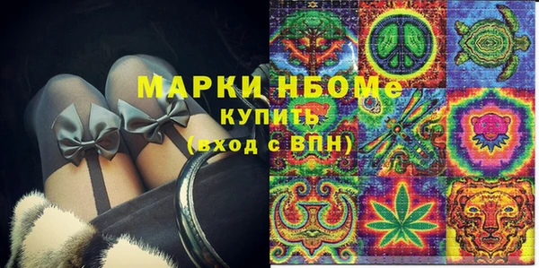 гашик Горняк