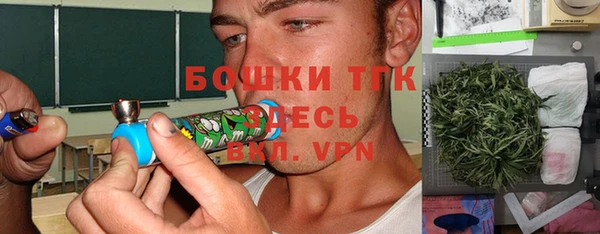 гашик Горняк